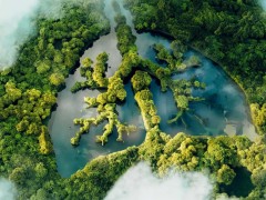 Does Globalinkin Sources supply or sell products?